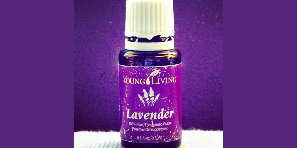 Lavender
